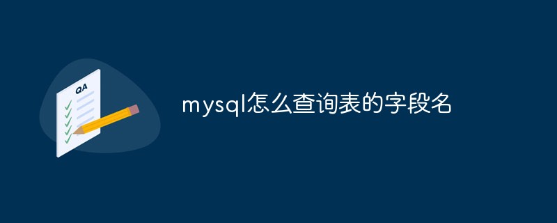 在mysql中如何查询表的字段名？