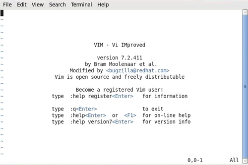  Vim 安装成功