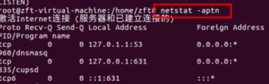 利用netstat-aptn命令