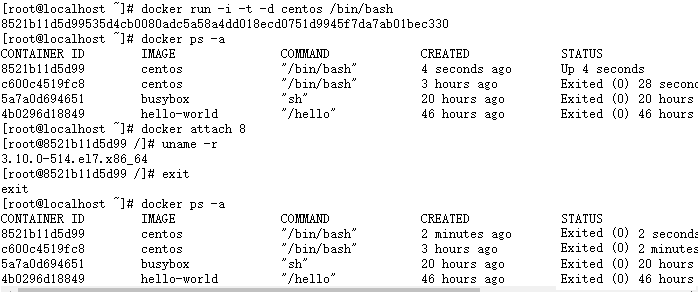 使用docker -d启动容器并退出