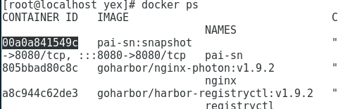 执行docker ps命令器实例id