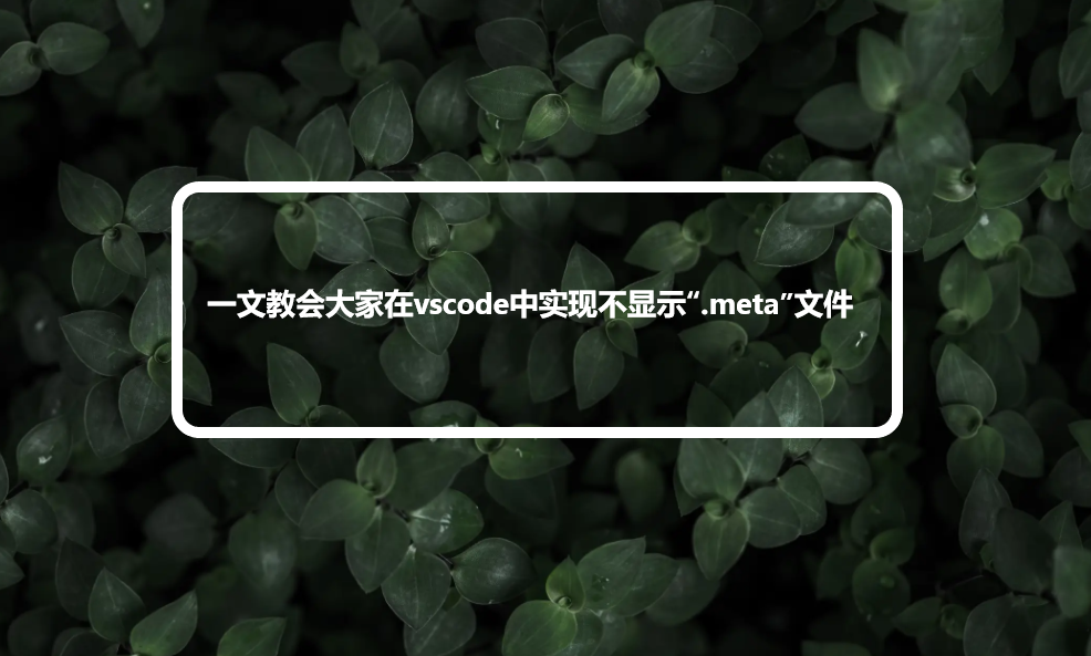 一文教会大家在vscode中实现不显示“.meta”文件