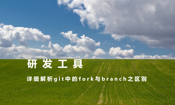 详细解析git中的fork与branch之区别