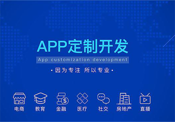 APP软件定制开发与源码二开二者都有哪些区别？