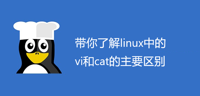 带你了解linux中的vi和cat的主要区别