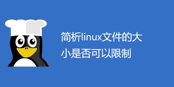 简析linux文件的大小是否可以限制