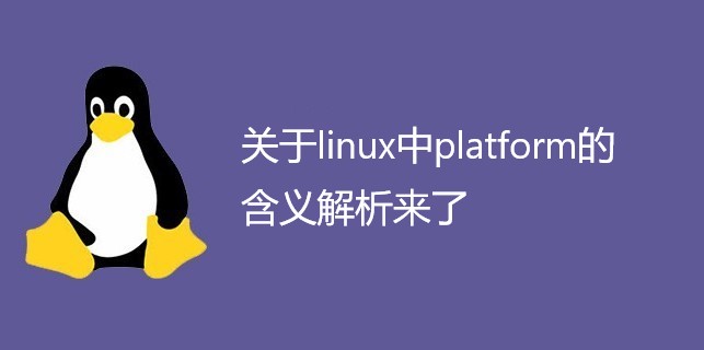 关于linux中platform的含义解析来了