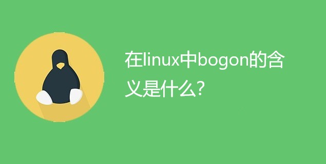 在linux中bogon的含义是什么？