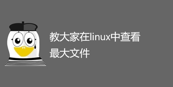 教大家在linux中查看最大文件