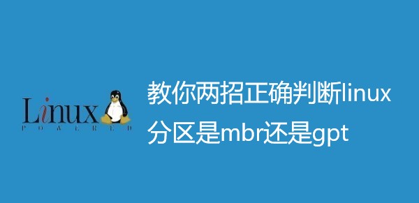 linux怎么判断分区是mbr还是gpt