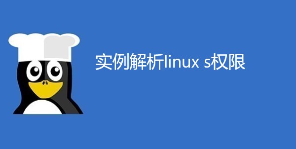 实例解析linux s权限