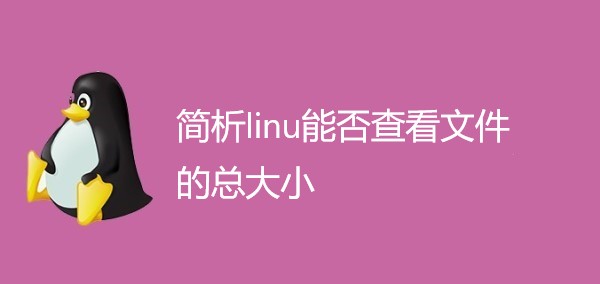 简析linu能否查看文件的总大小