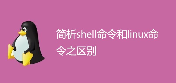 简析shell命令与linux命令之区别