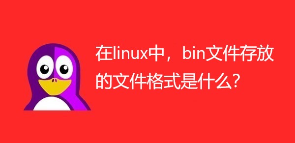 在linux中，bin文件存放的文件格式是什么？  ​